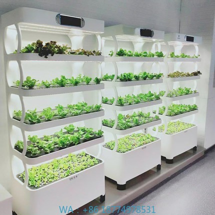 Home Automation Diy - Hydroponisches automatisches Wachstumssystem, intelligentes hydroponisches Wachstumssystem,