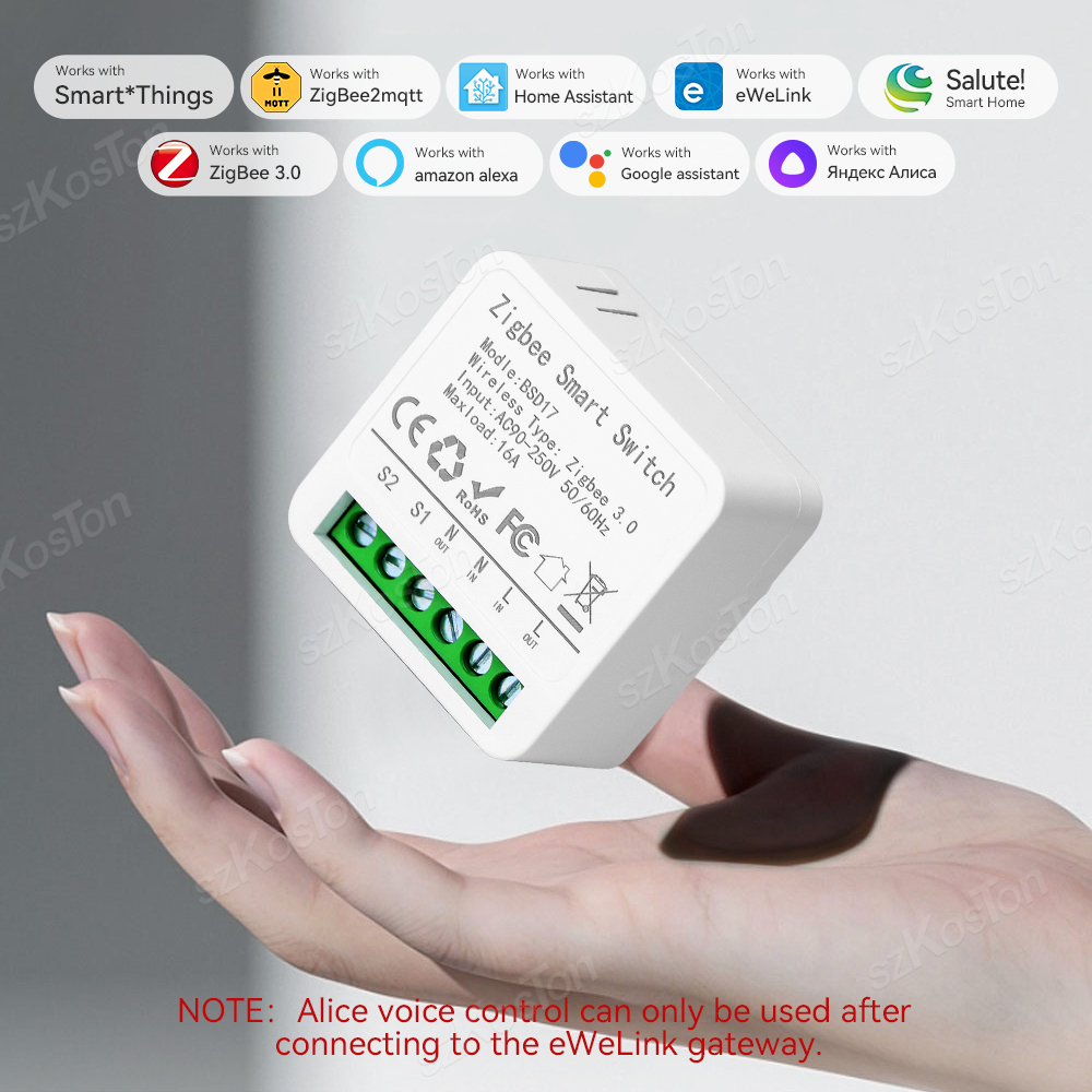 16a Mini ZigBee Smart Switch E – Home Automation Diy Bewertung und Preis